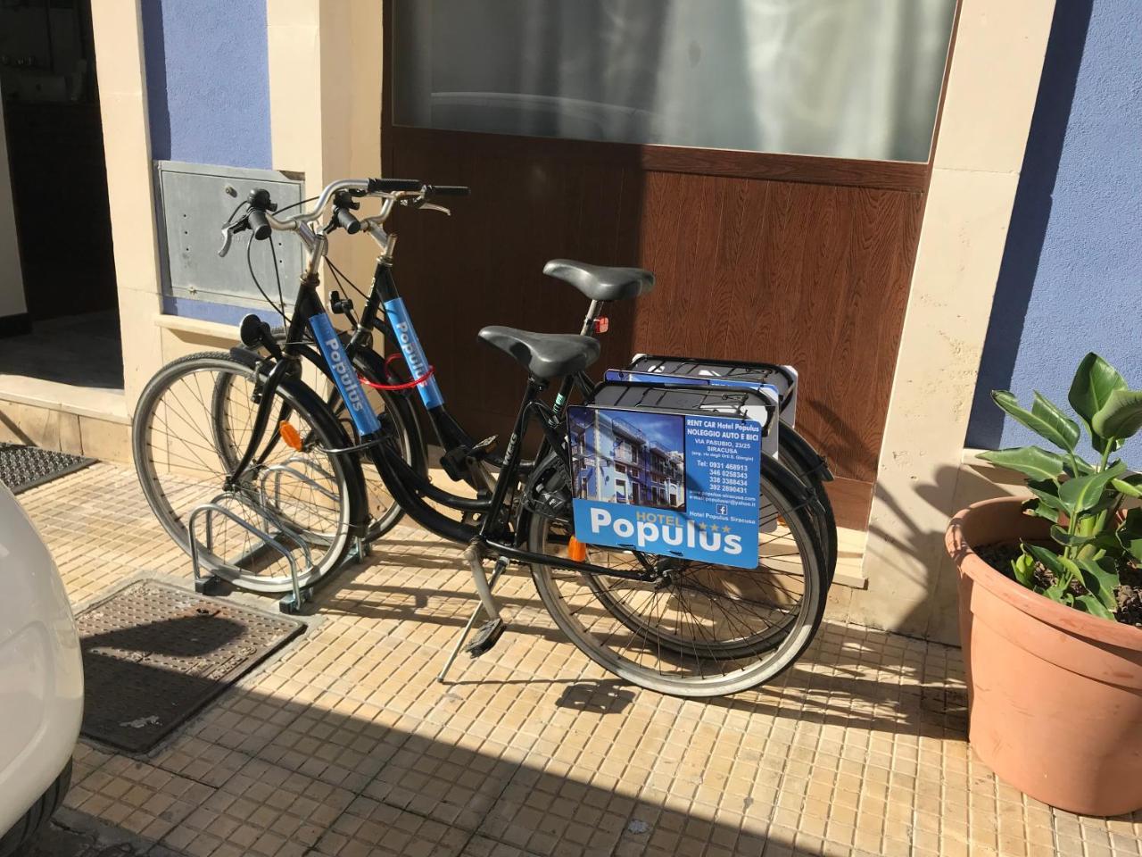 Populus Syracuse